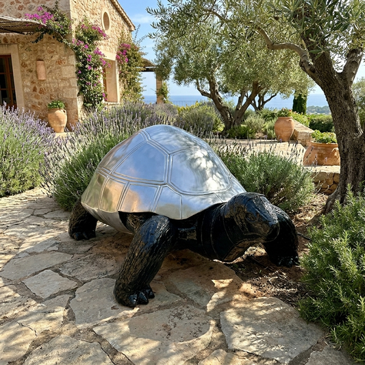 Tortue design
